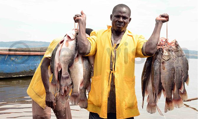 Fish exports hit sh540b Fish exports hit sh540b