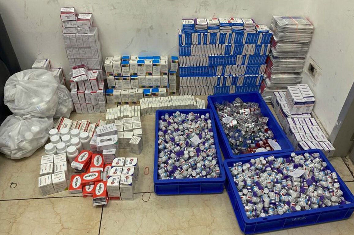 India push into global natural healthcare market, government research institutions develop new drugs