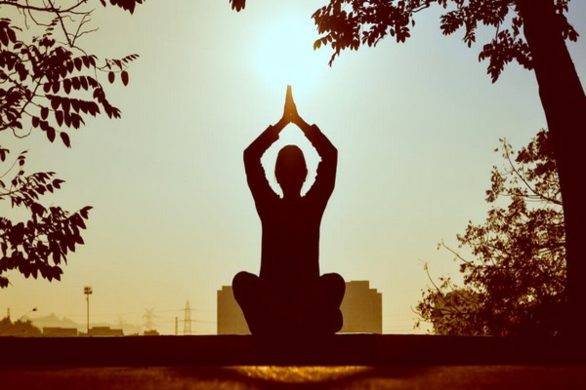 International Yoga Day: Andhra govt conducts high-level review meeting at VMRDA office