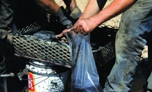 Coal Sampling at Jameson Resources' Crown Mountain deposit in Canada.