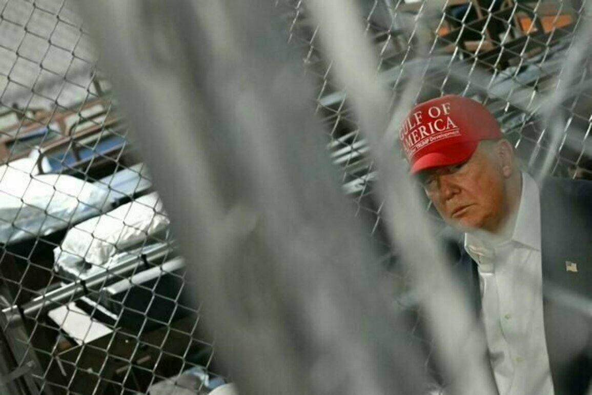 Florida plan to deputize National Guard officers as immigration judges at Alligator Alcatraz would likely violate constitutional rights