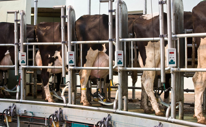 Reduce antimicrobial use through early mastitis detection this summer