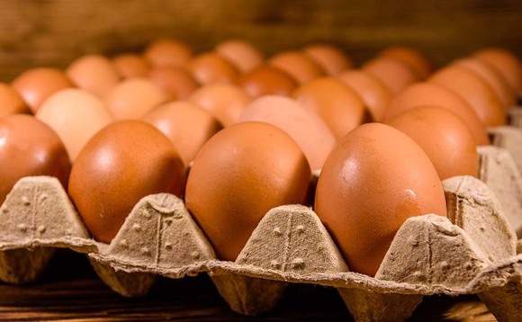 Pandemic pushes egg sales to record highs