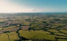 Dorset Council votes in favour of declaring a nature emergency