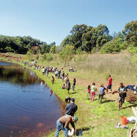 Kokua Line- Why cant I catch and release rainbow trout&quest;