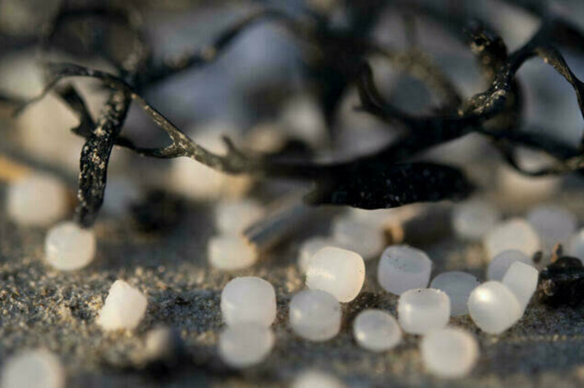 Mermaids tears: How tiny plastic pellets are flooding the environment