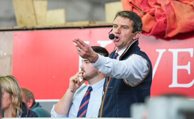 View from the Rostrum - Russell Steer: "With numbers looking tight, there has never been a better time to market your stock"