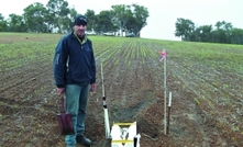 Lime and cultivation can boost yields on forest gravels