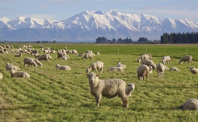 New Zealand ag-inflation hits 40-year high