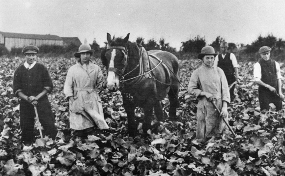 History290319fg175changinglabourforce1918classic main 580x358.jpg