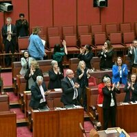 Labor likely to gain 5 senators, cementing the left's Senate dominance