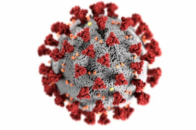 Unanswered questions as Nigeria braces for coronavirus lockdown