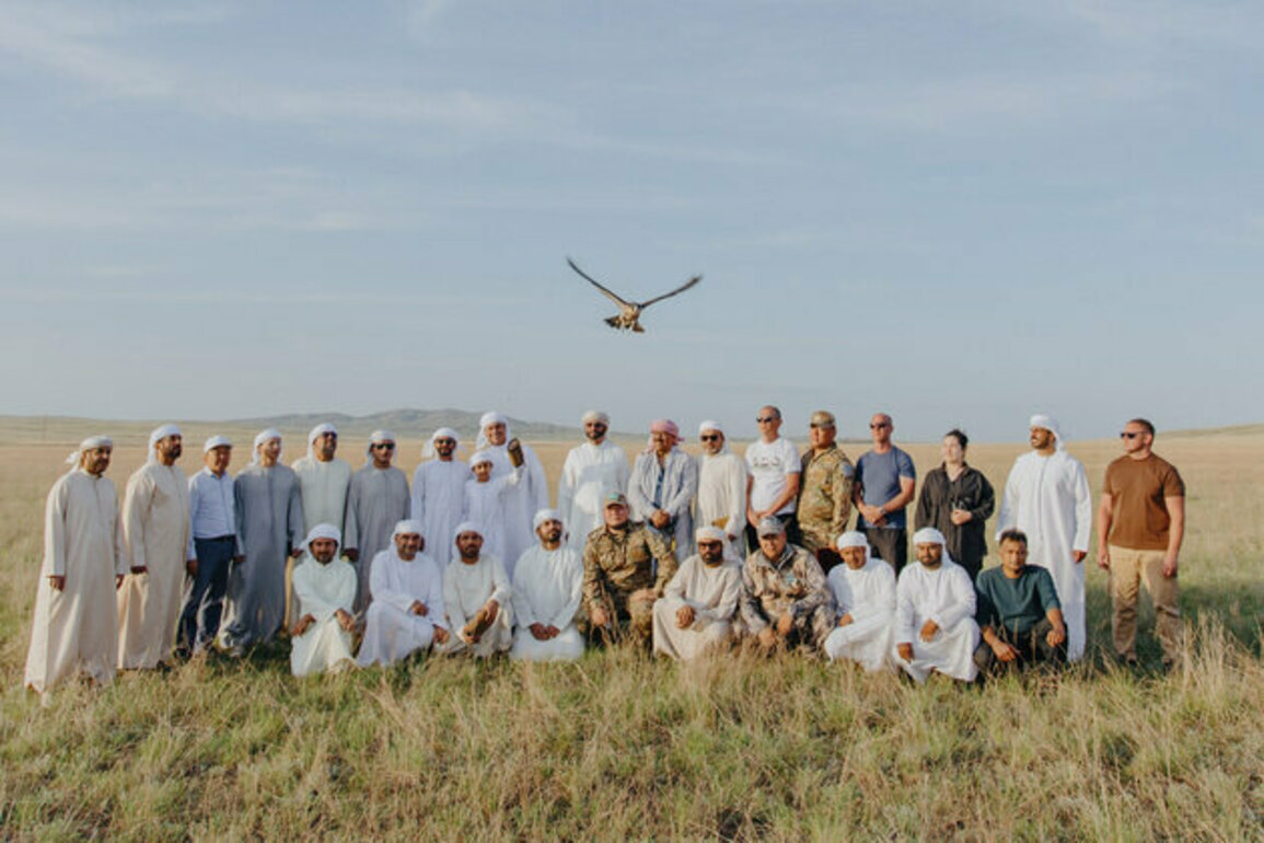 Sheikh Zayed Falcon Release Programme returned total of 2,355 falcons to wild