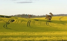 Variable winter conditions make for mixed crop prospects