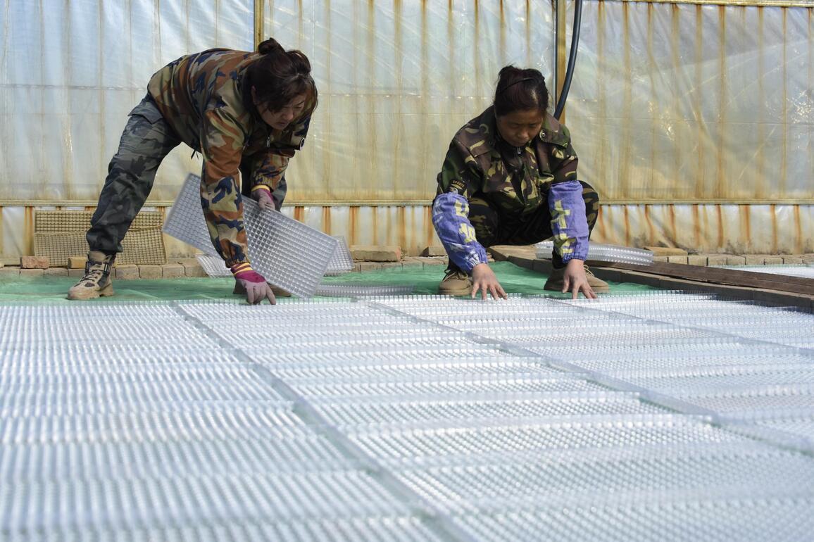 #CHINA-HEILONGJIANG-BEIDAHUANG GROUP-SPRING PLOUGHING PREPARATION (CN)