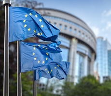 The EU's CSRD reporting requirements: What businesses need to know