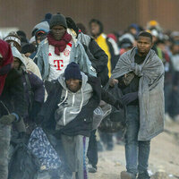 US deports scores of Zimbabwean migrants