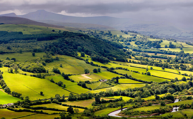 TFA Cymru welcomes Welsh Government's 'scaling back' of universal actions in Sustainable Farming Scheme