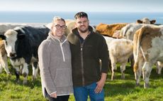 Passion for British Blue cattle shines through