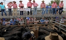 Meat sector concerns lead to calls for a Senate inquiry