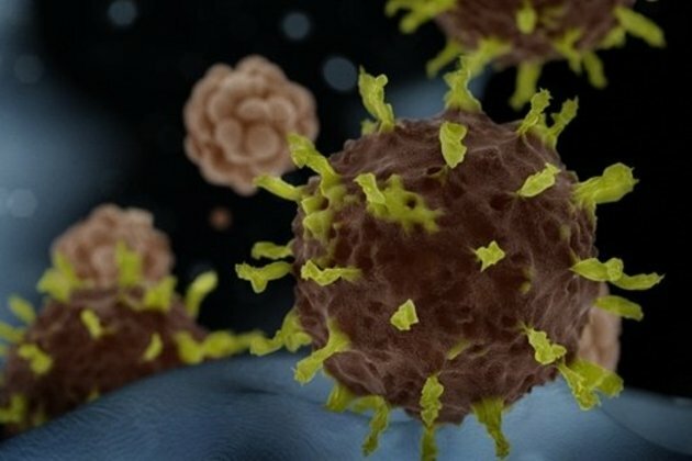 US virus deaths may top 80 000 despite confinement: study