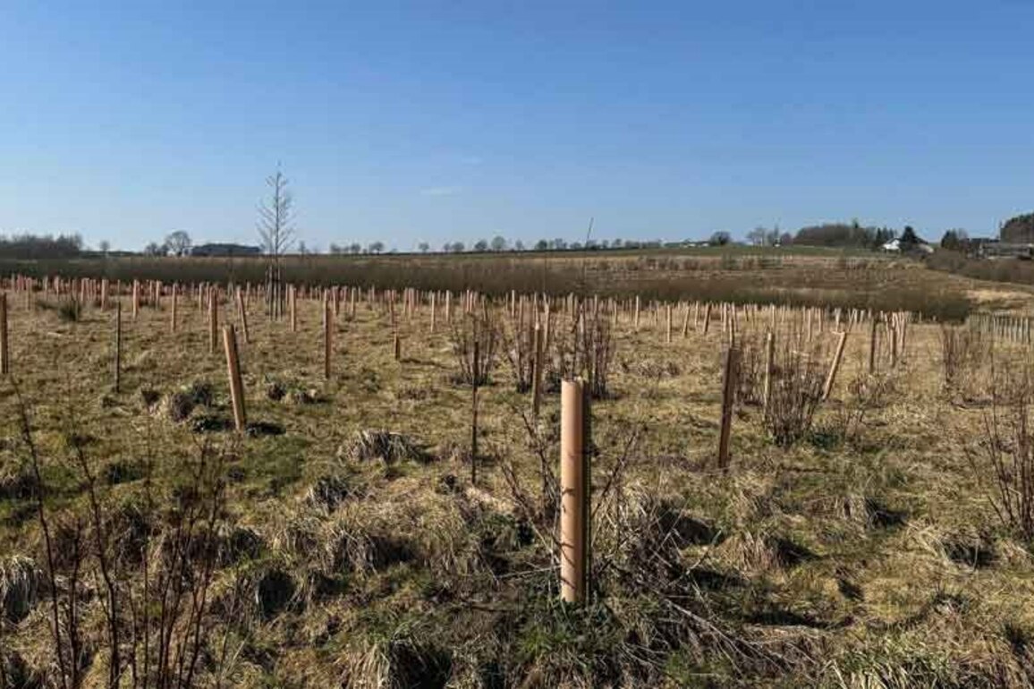 Former Opencast Mine Near Wigan Transformed Into Green Gateway