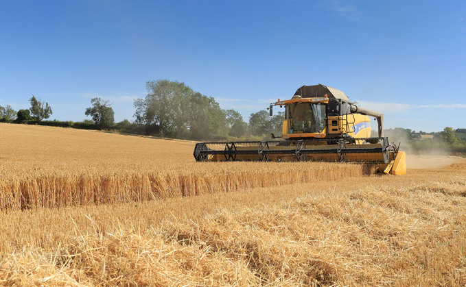 The latest AHDB Harvest Report says yields have been variable across spring crops The latest AHDB Harvest Report says yields have been variable across spring crops