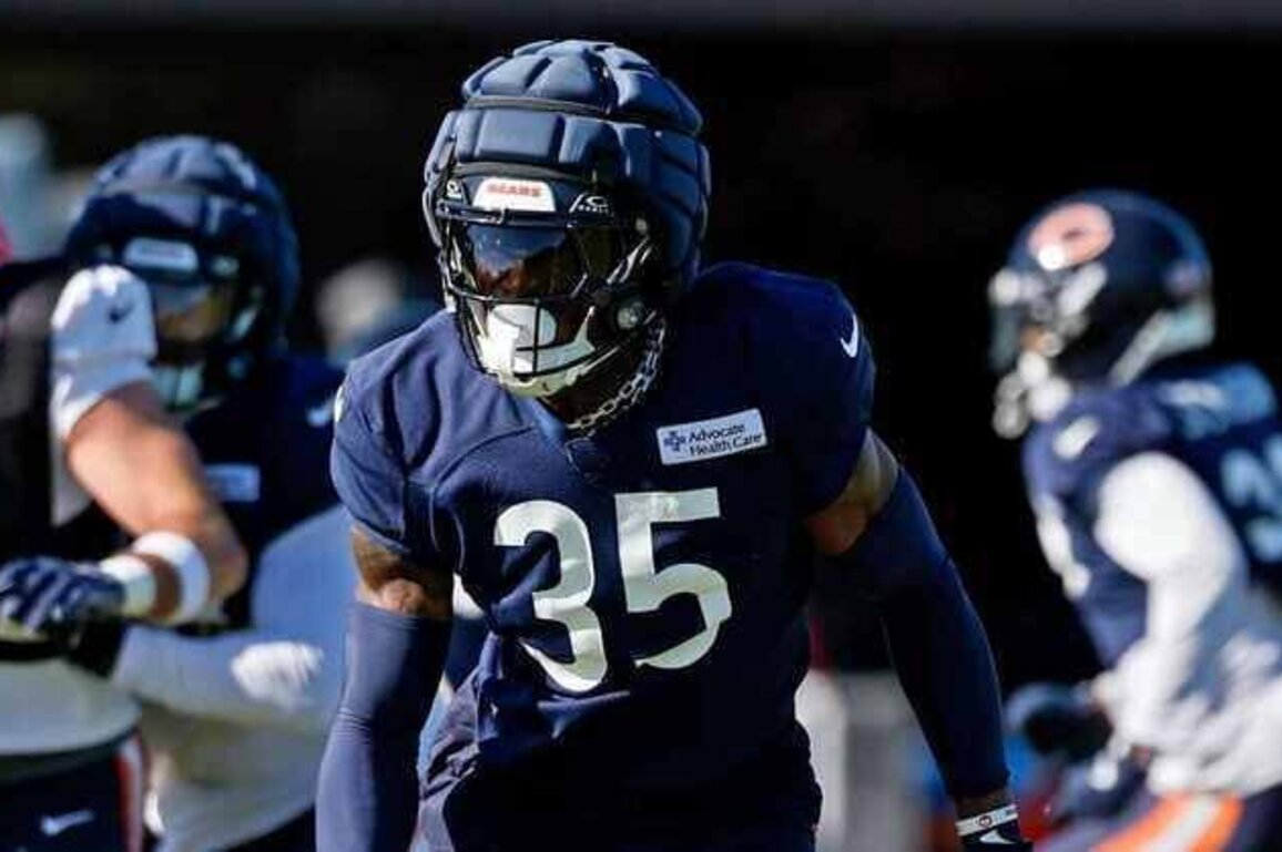 Bears felt like 'right spot' for C.J. Gardner-Johnson