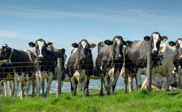 Farmers invited to take part in field trials for cattle TB vaccine and new skin test