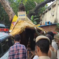 Delhi Police PCR van hits man on Thana Mandir Marg, victim dies