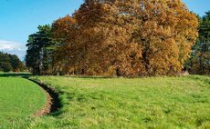 Countryside Stewardship scheme opens for applications