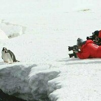 More and more tourists are flocking to Antarctica. Let's stop it from being loved to death
