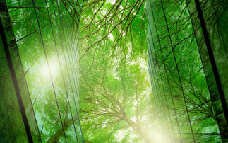 'State of Nature Metrics': 30 businesses sign up to Nature Positive Initiative's metrics pilot