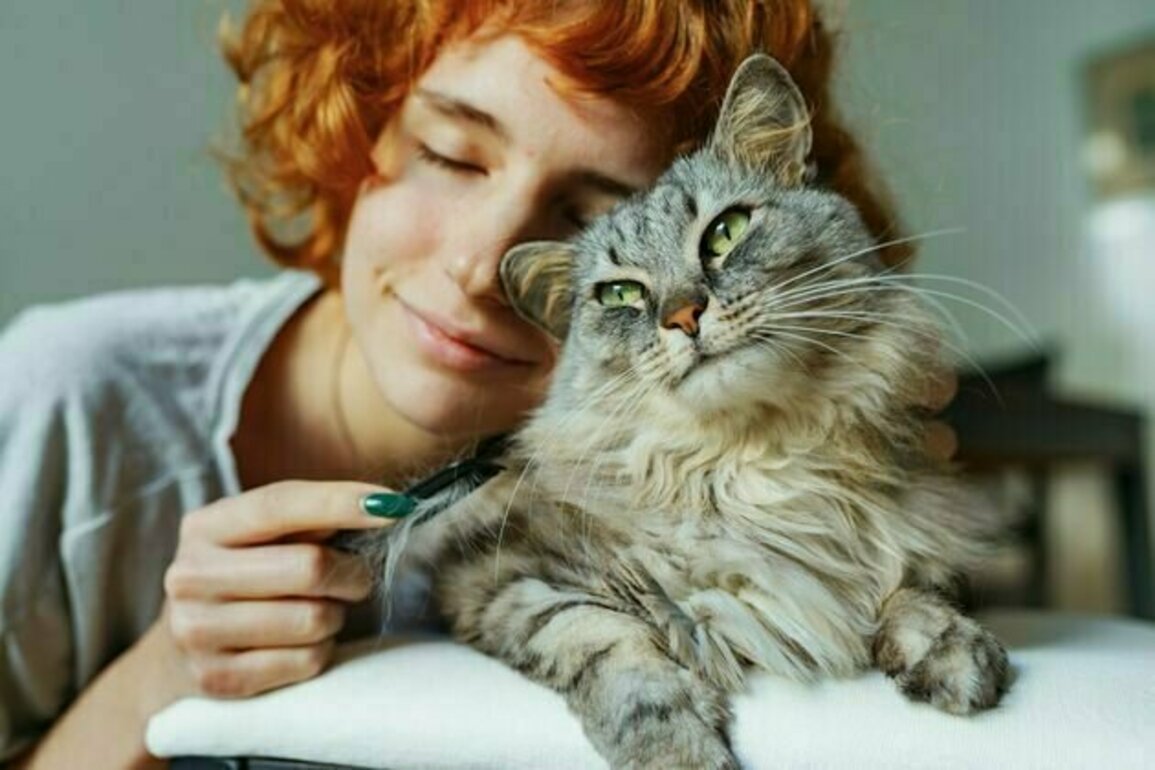 Do cats make good therapy animals? The new trend showing felines may be more complicated than we realise