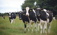 Arla confirms December milk price hold