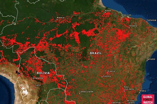 Bolsonaro mulls deploying army to combat Amazon fires