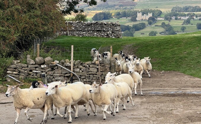 Forage for CH4nge project reveals interesting findings