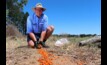  Rhett Robinson, biosecurity officer with NSW Local Land Services, lays carrots laced with RVDV1-K5. Picture courtesy NSW Local Land Services