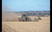  Rural Bank says China is driving demand for wheat and wool. Picture Mark Saunders.