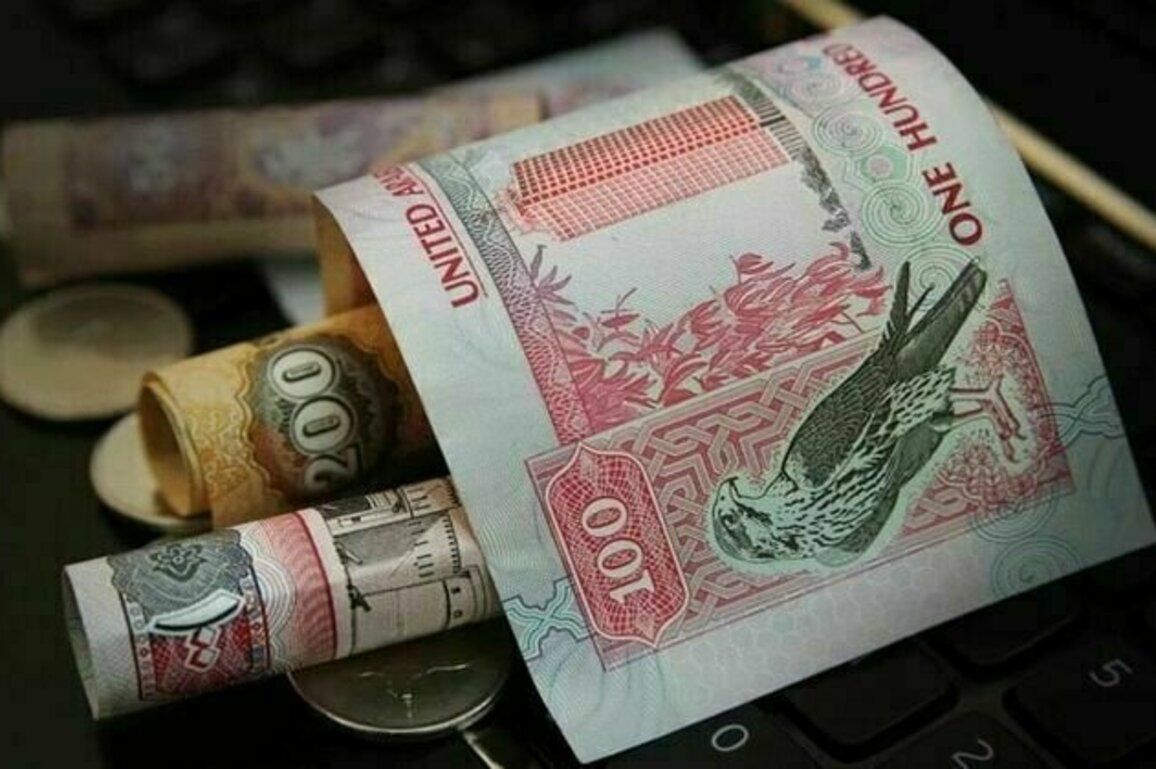 UAEFTS processed AED19.89 trillion in transactions in 2024