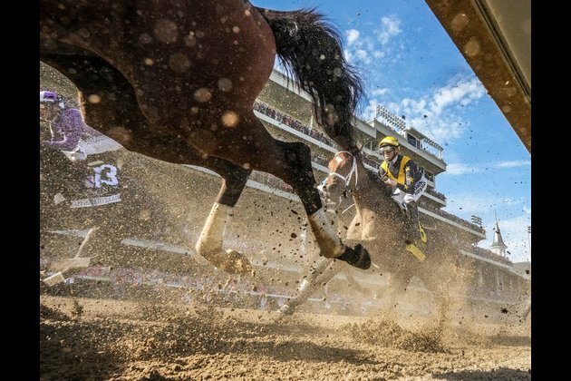 Churchill Downs enacts new safety measures after 12 horse deaths