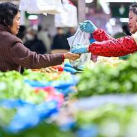 Update: China's CPI rises, PPI returns to growth after 41-month decline