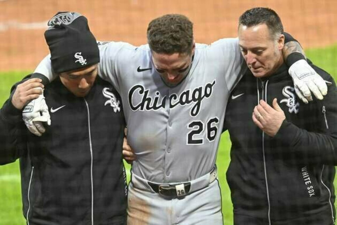 White Sox place C Korey Lee, OF Mike Tauchman on IL