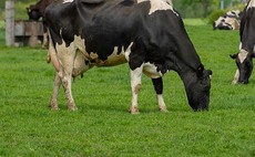Manchester Dairy fined £34,000 for overloading vans delivering Freshways milk