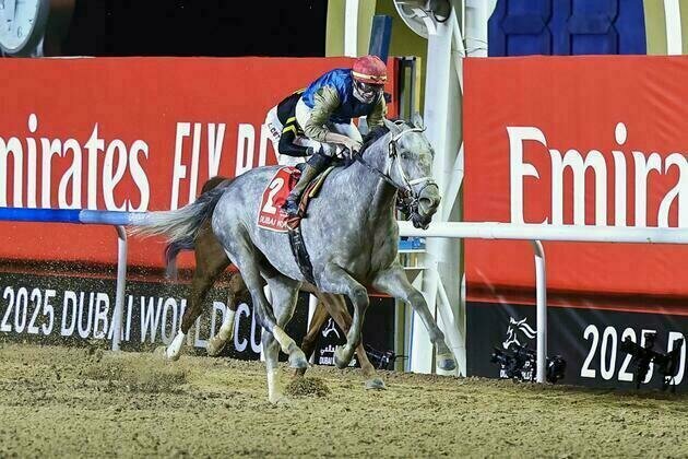 'Hit Show' wins $12 million Dubai World Cup