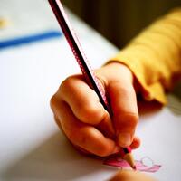 14% of schools in Leitrim have 30 pupils or more in their classes - Leitrim Live