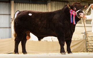 Salers set centre record at Castle Douglas