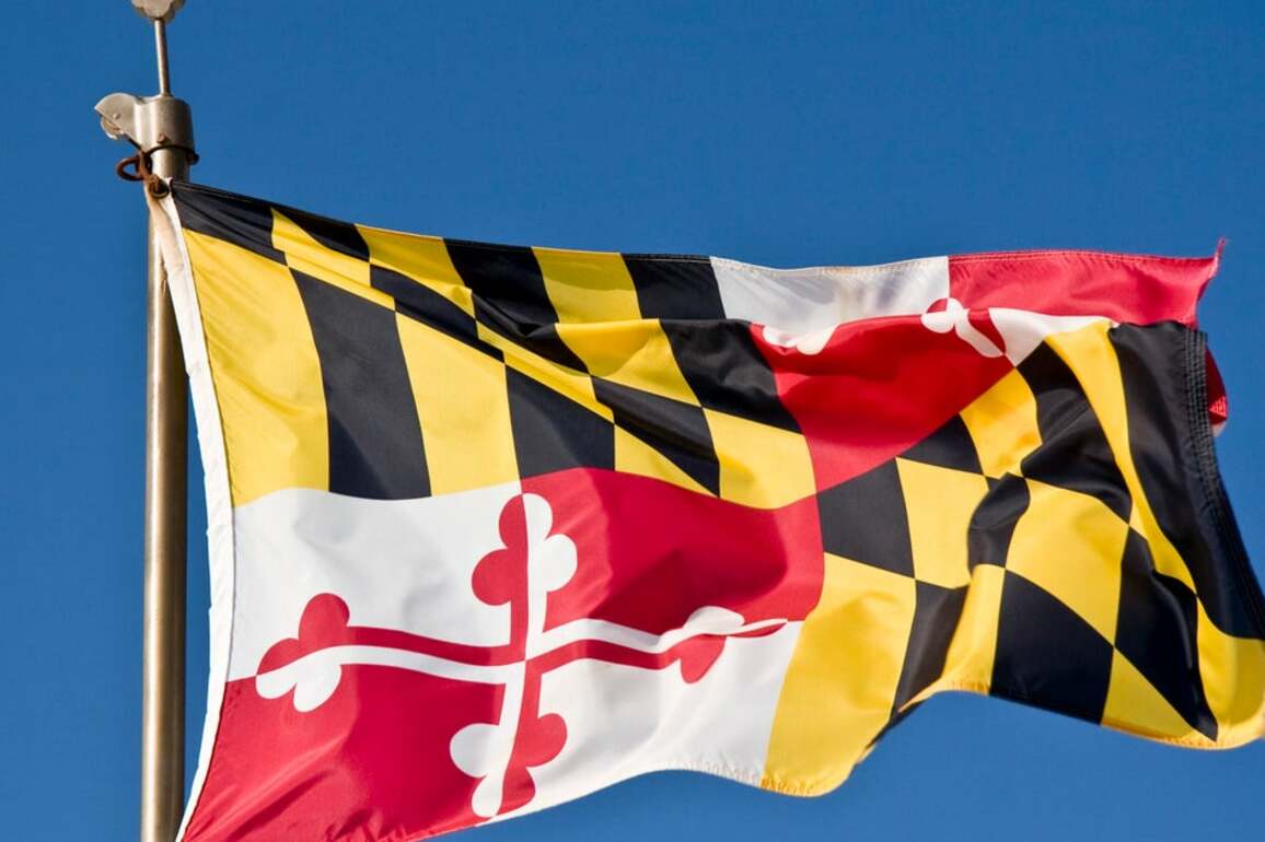 Maryland Teen To Serve 1 Year In Prison After Detailing School Shooting Plans  UK Crime