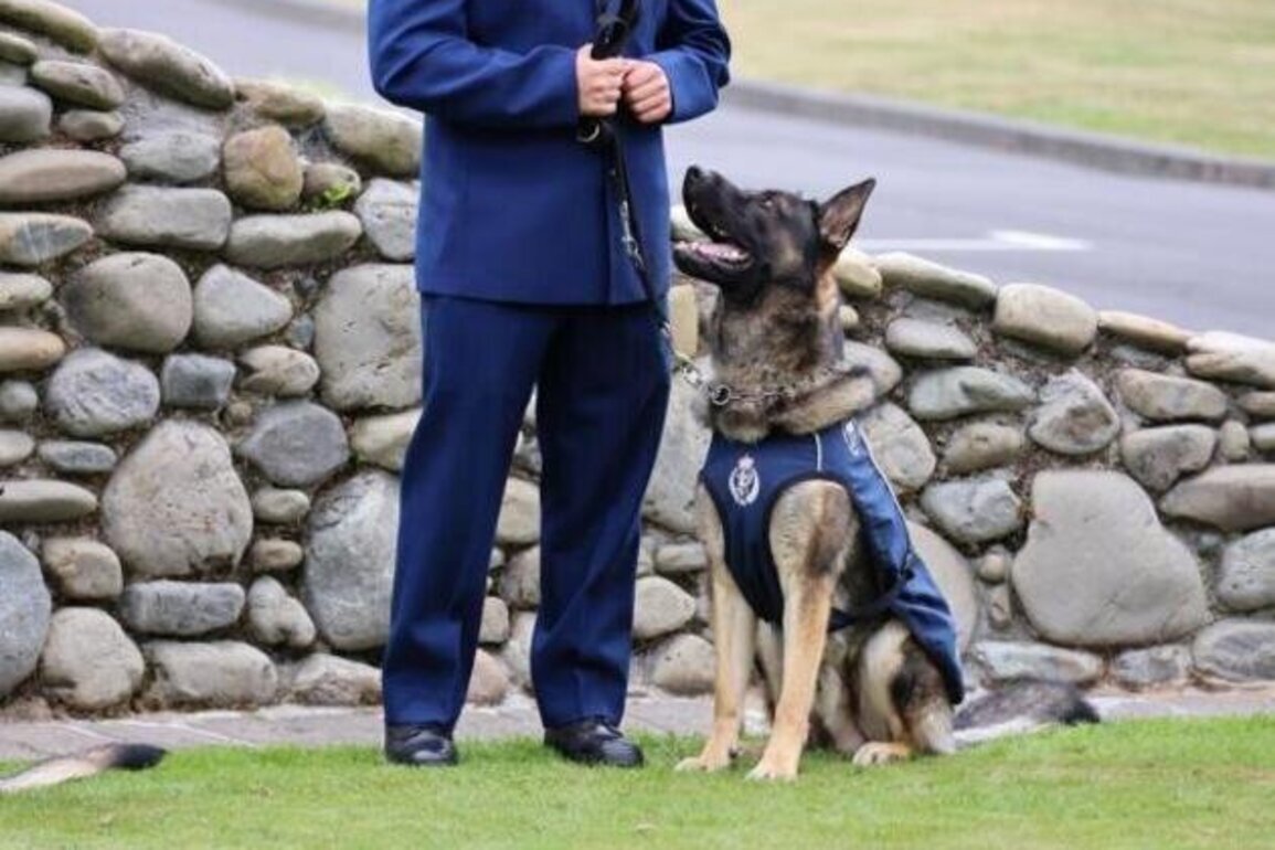 Round of A-paws for the latest graduates