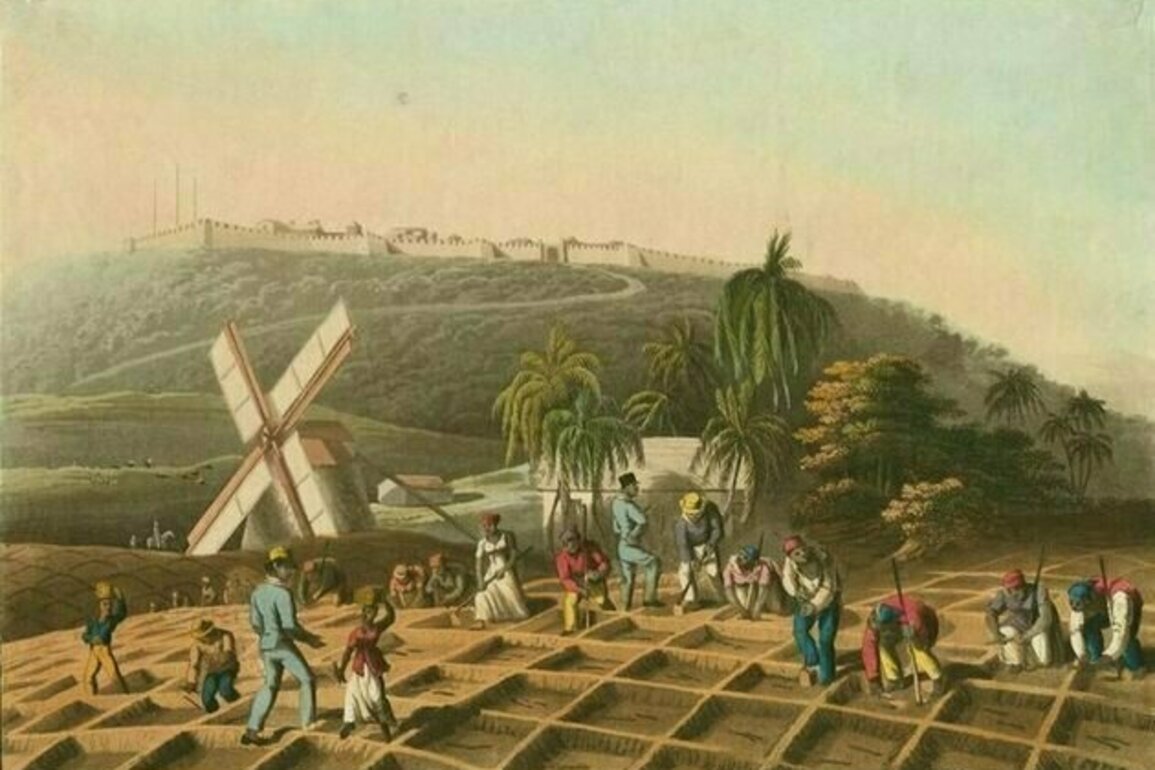 Tracing the Drax family's millions - a story of British landed gentry, slavery and sugar plantations